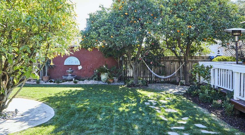 Photo of The Orchard