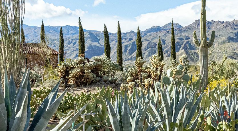 Photo of Dulce de Leche