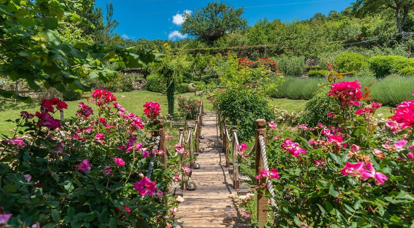 Photo of Yellow Climbing Rose