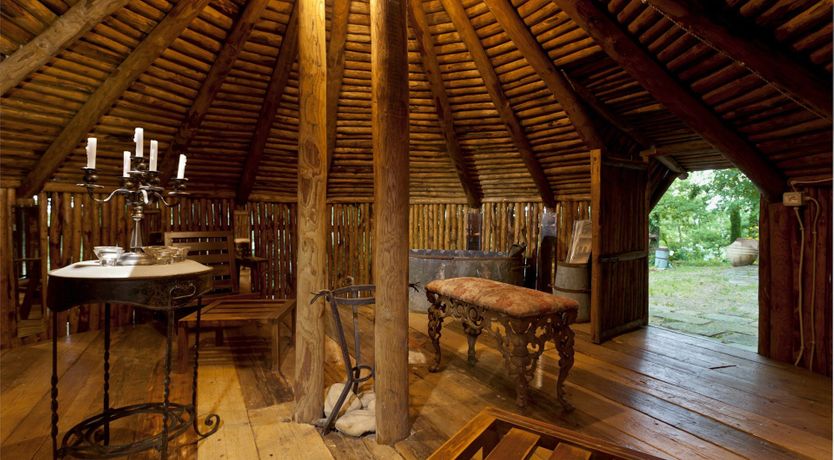 Photo of Yellow Climbing Rose