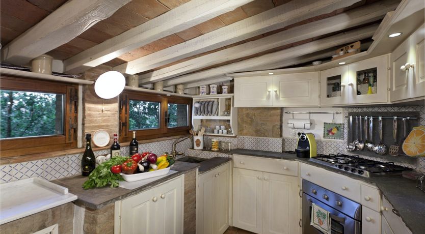 Photo of Yellow Climbing Rose