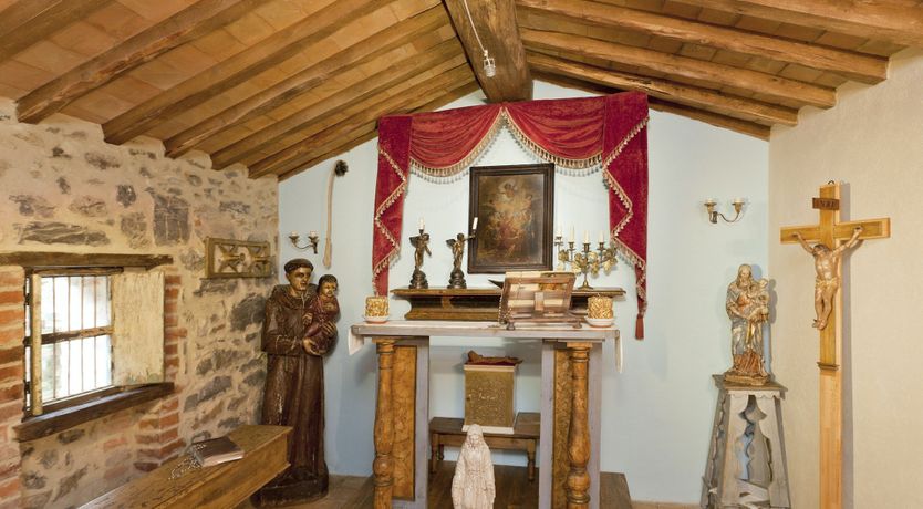 Photo of Yellow Climbing Rose