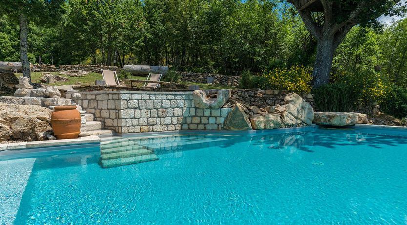 Photo of Yellow Climbing Rose