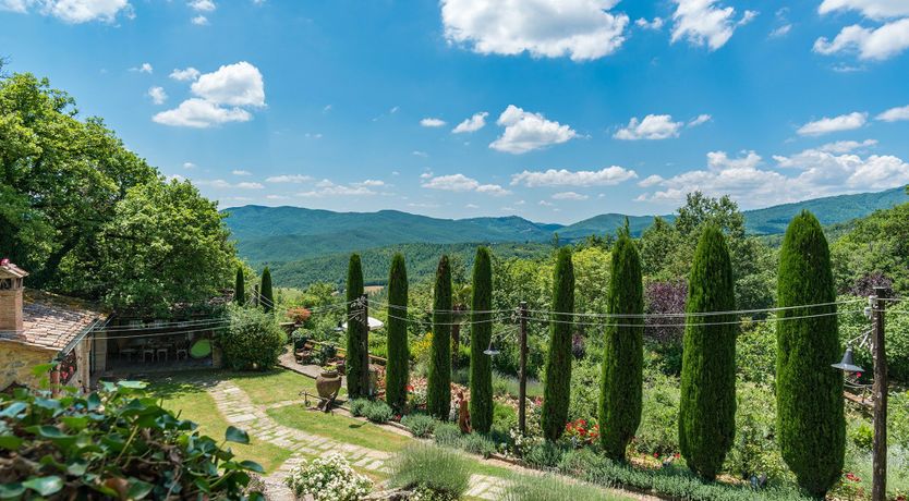 Photo of Yellow Climbing Rose