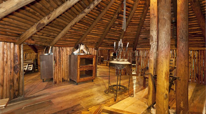 Photo of Yellow Climbing Rose