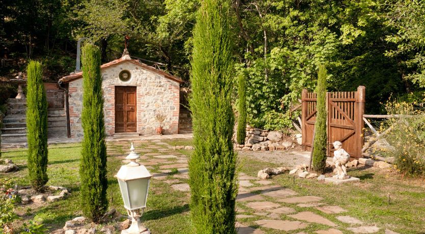 Photo of Yellow Climbing Rose