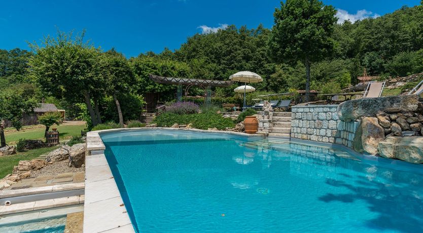 Photo of Yellow Climbing Rose