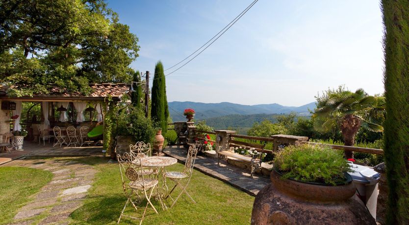 Photo of Yellow Climbing Rose