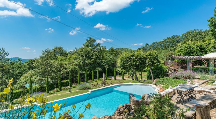 Photo of Yellow Climbing Rose