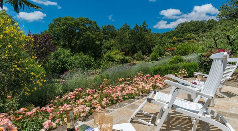 Photo of Yellow Climbing Rose