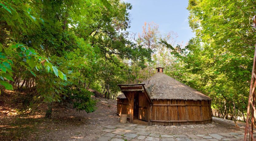 Photo of Yellow Climbing Rose