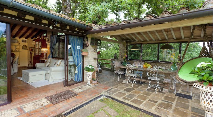 Photo of Yellow Climbing Rose