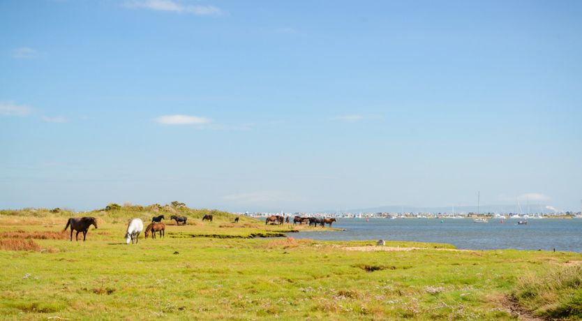 Photo of The Chandlery