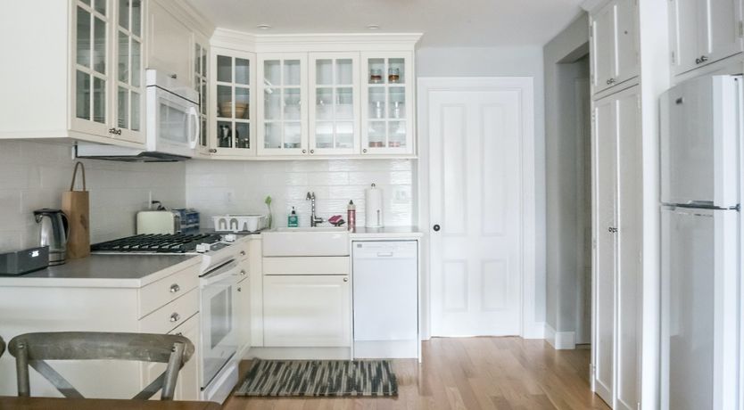 Photo of Moonflowers