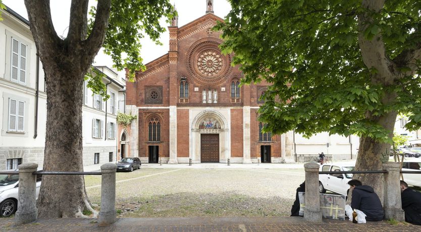 Photo of The Cock's Crow