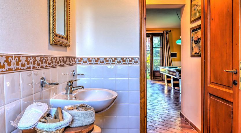 Photo of Where Olives Grow