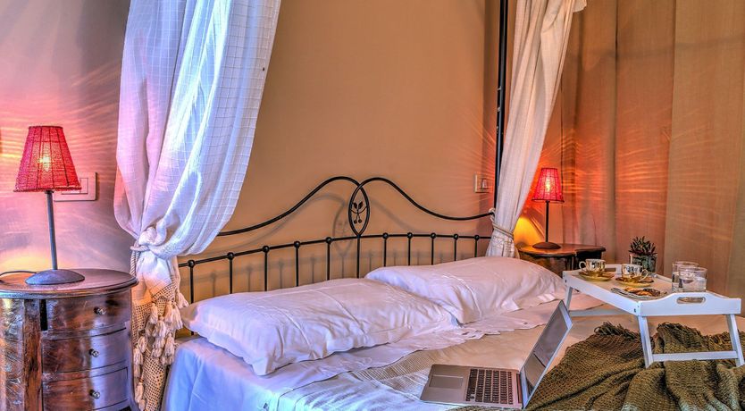 Photo of Where Olives Grow