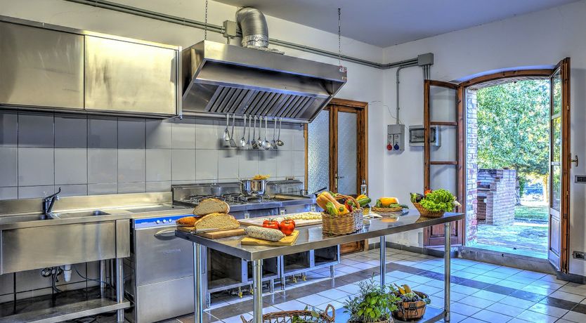 Photo of Where Olives Grow