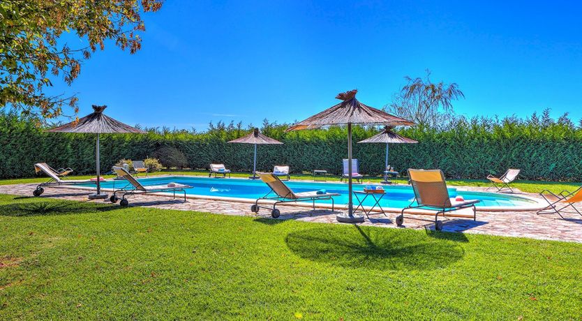 Photo of Where Olives Grow