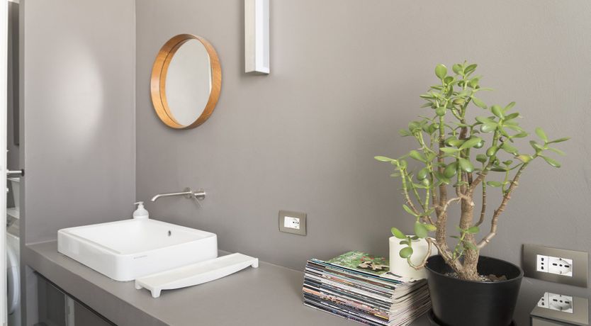 Photo of The Blue Rider