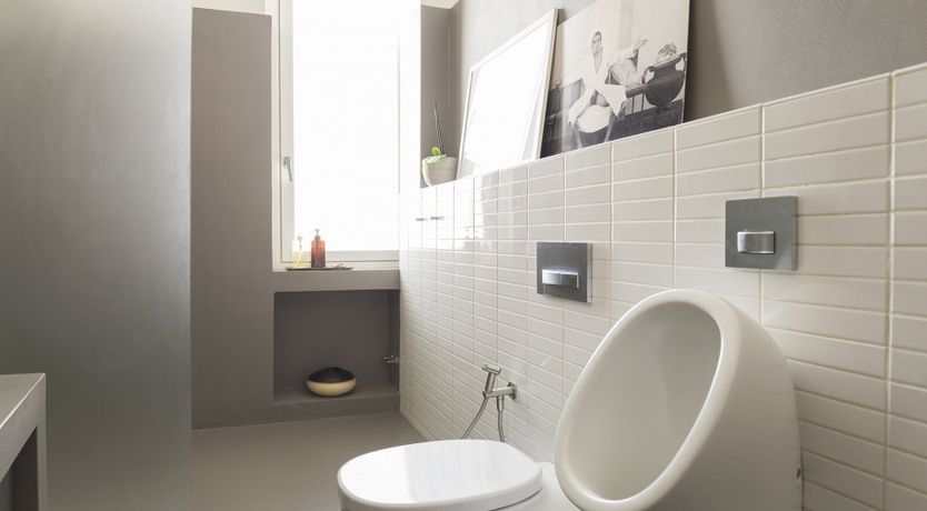 Photo of The Blue Rider