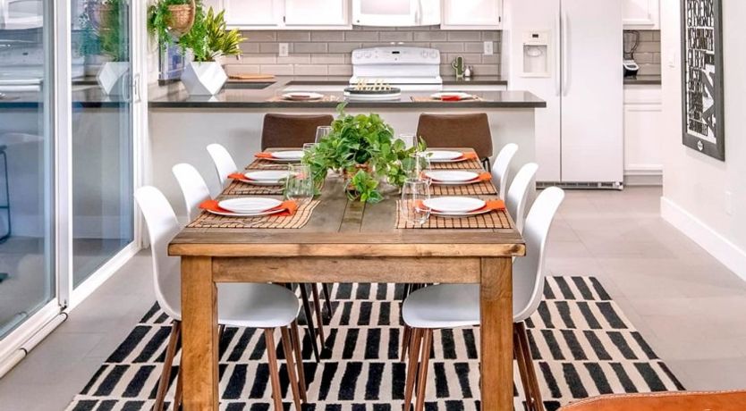 Photo of Cactus Garden