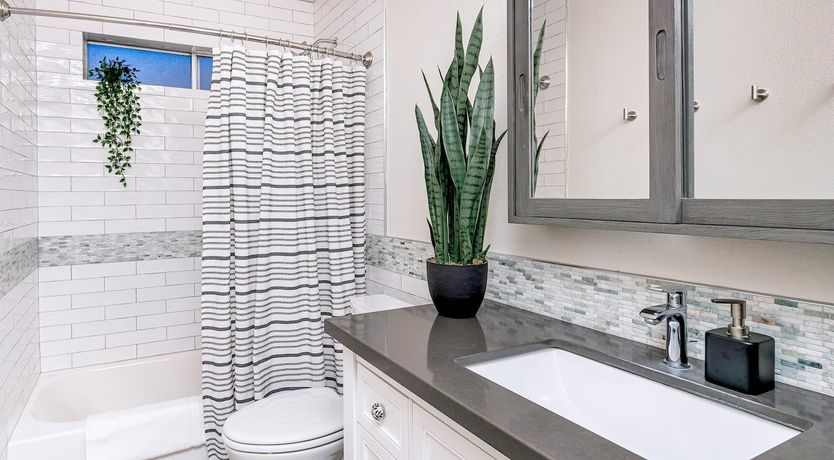 Photo of Cactus Garden