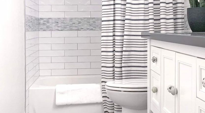 Photo of Cactus Garden