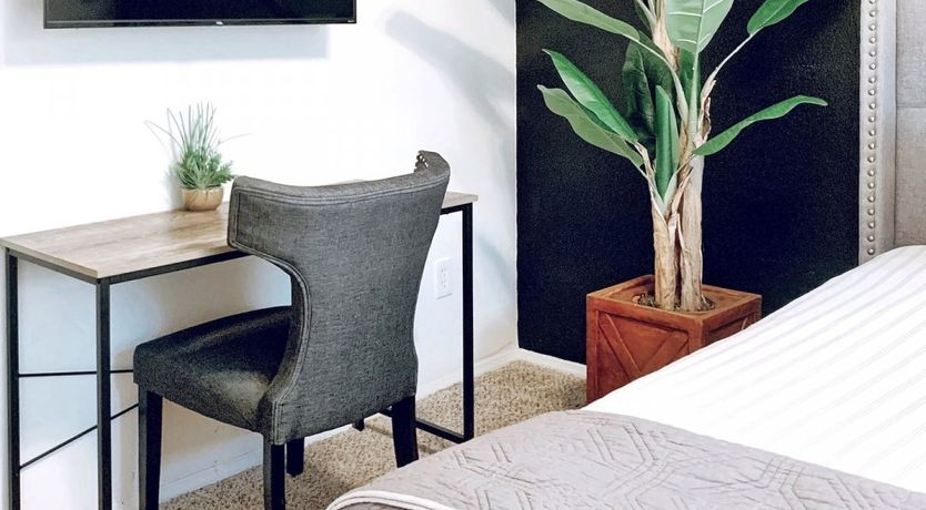 Photo of Cactus Garden