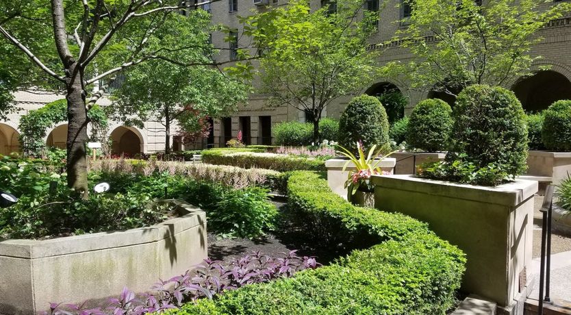 Photo of Divine Collector