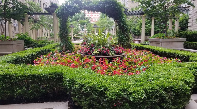 Photo of Divine Collector