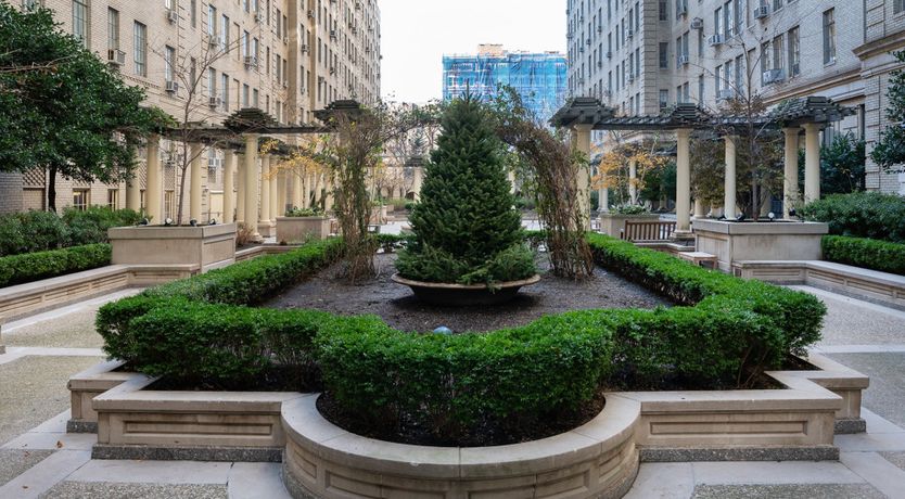 Photo of Divine Collector