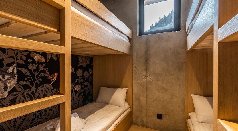 Photo of Alpine Crocus