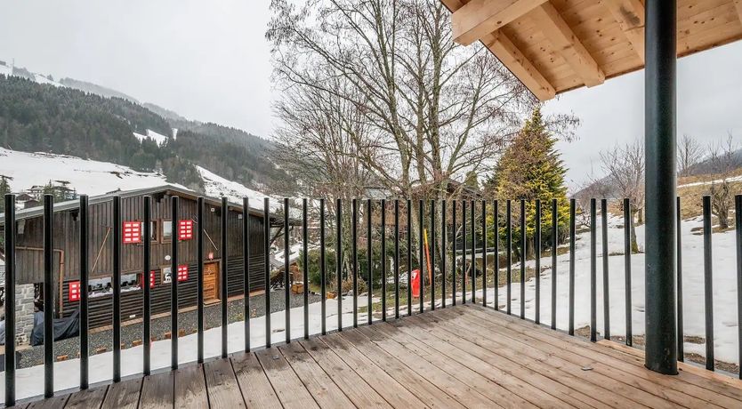 Photo of Alpine Crocus