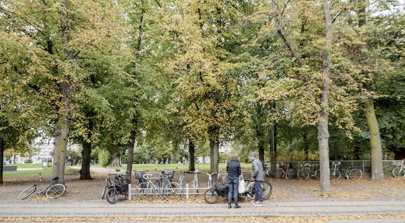 Photo of The Long Read