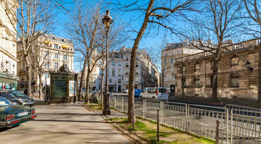 Photo of Black Feline