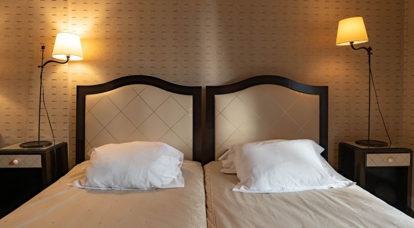 Photo of Black Feline