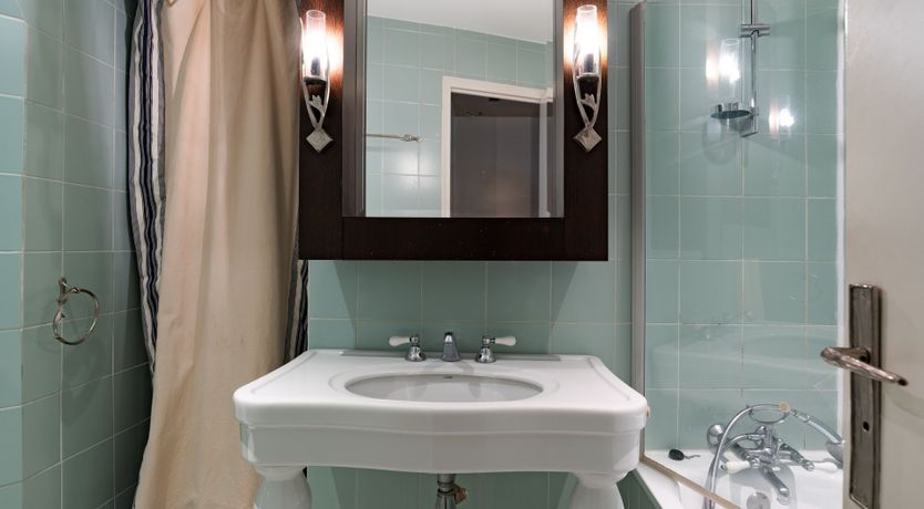 Photo of Black Feline