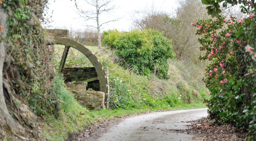 Photo of Hen House Hideaway