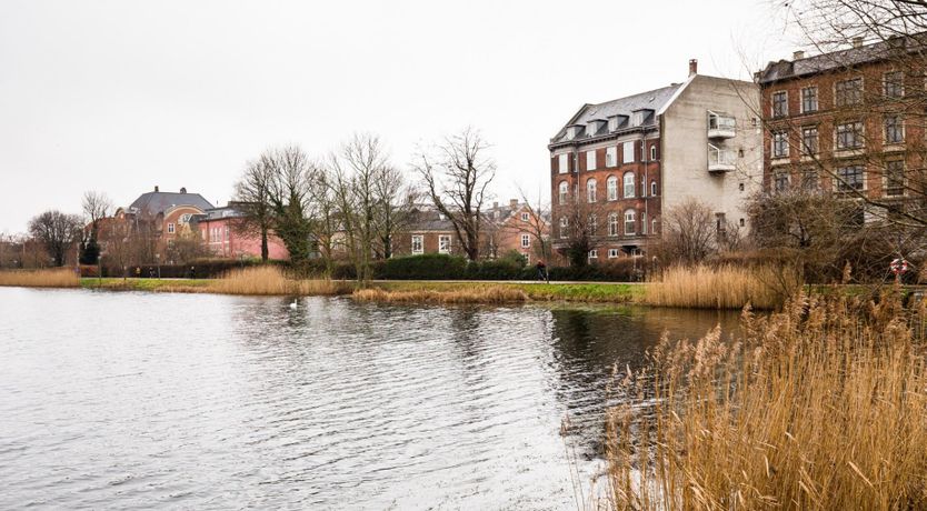 Photo of Good Luck Charm