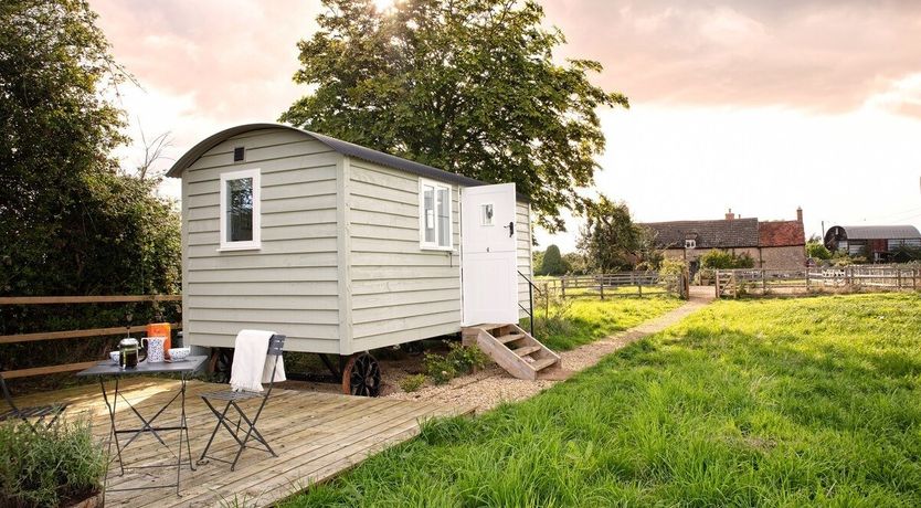 Photo of Little Lamb