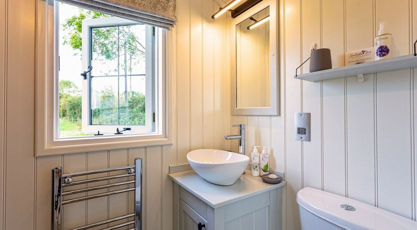 Photo of Little Lamb