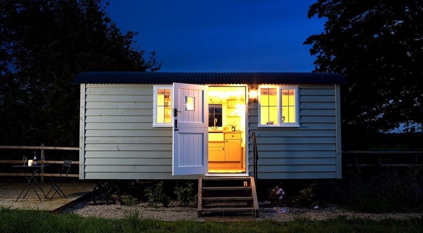 Photo of Little Lamb