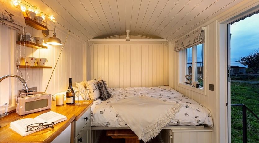 Photo of Little Lamb