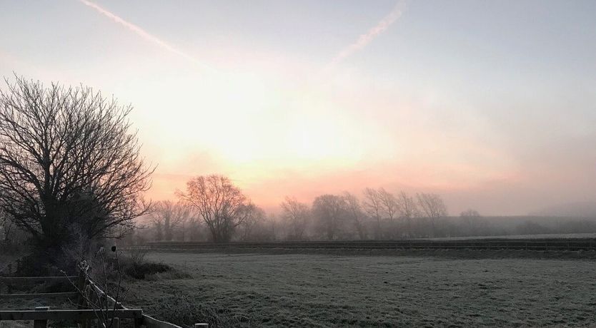 Photo of Little Lamb