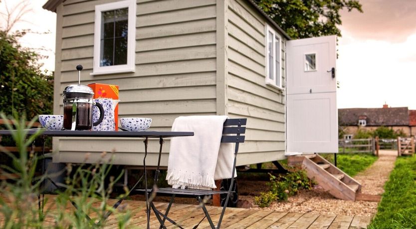 Photo of Little Lamb