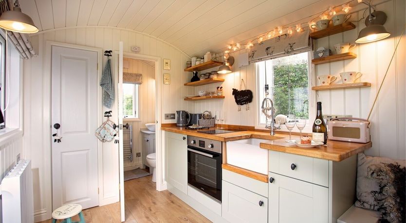 Photo of Little Lamb