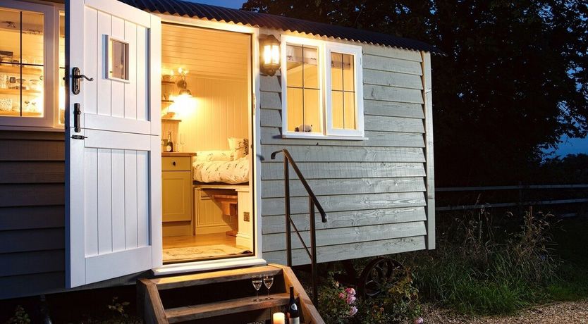 Photo of Little Lamb