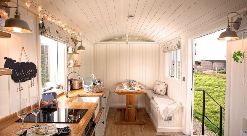 Photo of Little Lamb