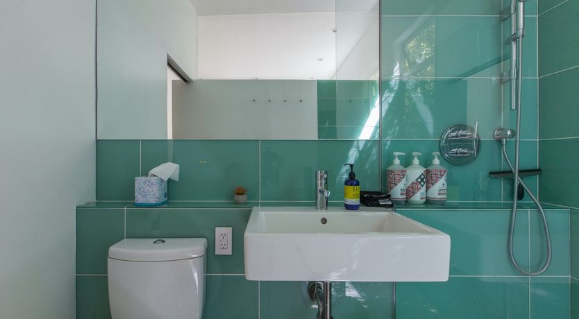 Photo of Palm Breeze